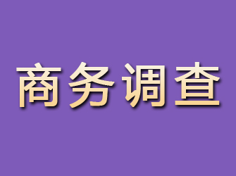 清河商务调查