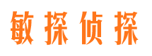 清河市调查公司